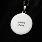 Aquarrius Stainless Steel Zodiac Sign Necklace